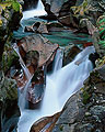 Avalanche Creek, Glacier National Park, Montana