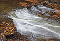 Brandywine Creek, November