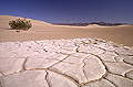 Mud Patterns, Death Valley Sand Dunes