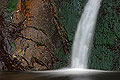 Desert Oasis, Darwin Falls, Death Valley, California
