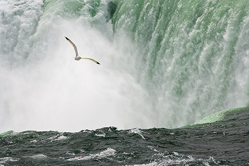 Over the Green Abyss, Niagara Falls, Ontario, Canada
