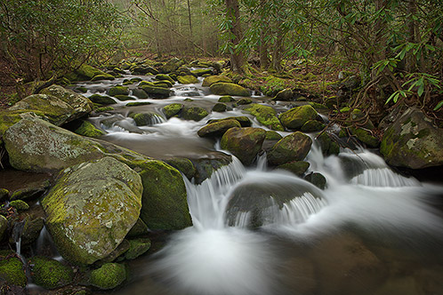 Jake's Creek, Spring, Great Smoky Mountains National Park, Tennessee
