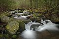 Jake's Creek, Great Smoky Mountains National Park