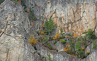 Seneca Rocks Detail, West Virginia
