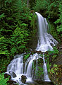 Falls Creek Cascade, Mount Rainier National Park