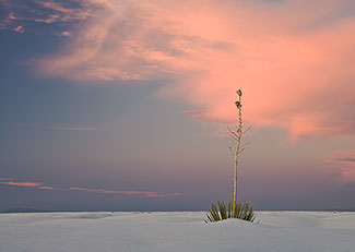 Sunset, White Sands National Monument, New Mexico