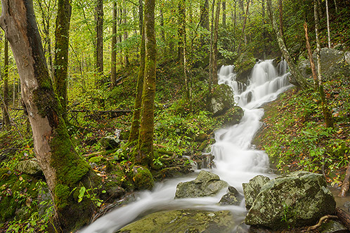 Woodland Waterfall, Great Smoky Mountains National Park