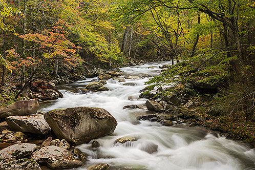 Autumn Stream, Great Smoky Mountains National Park