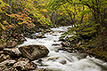 Autumn Stream, Great Smoky Mountains National Park, Tennessee