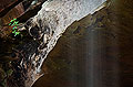 Yahoo Falls and Rhododendron, Big South Fork, Kentucky