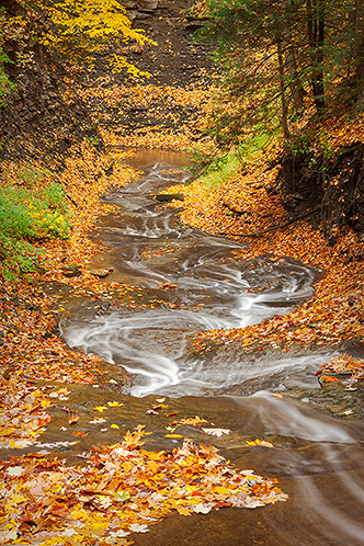 Diaphanous Waterfall, Ohio, Autumn