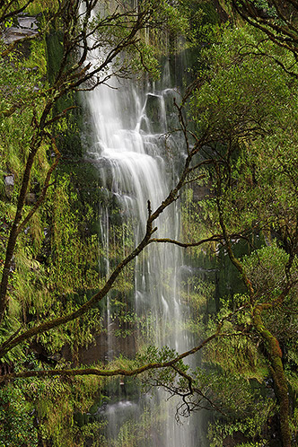 Erskine Falls, Detail, Great Otway National Park, Australia