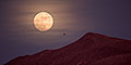 Moonlight Flight, New Mexico