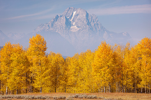Mount Moran, Autumn Aspens, and Fog, Grand Teton National Park, Wyoming