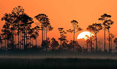 Pa-hay-okee Sunrise, Everglades National Park