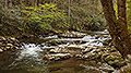Peaceful River, Appalachian Mountains