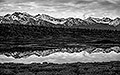 Reflection Near Tazlina Lake, Alaska