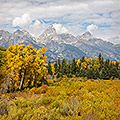 Autumn Meadow, Teton Range, Wyoming